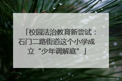 校园法治教育新尝试：石门二路街道这个小学成立“少年调解庭”