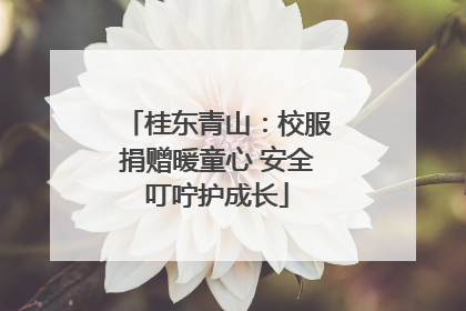 桂东青山：校服捐赠暖童心 安全叮咛护成长