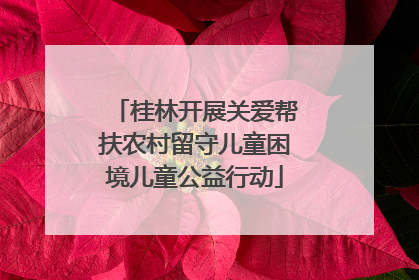 桂林开展关爱帮扶农村留守儿童困境儿童公益行动