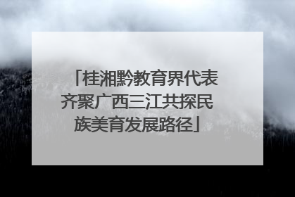 桂湘黔教育界代表齐聚广西三江共探民族美育发展路径