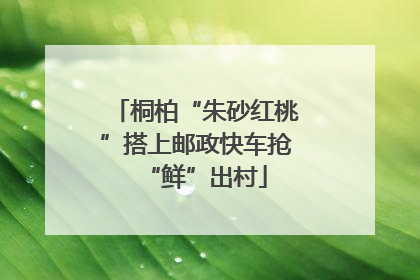 桐柏“朱砂红桃”搭上邮政快车抢“鲜”出村
