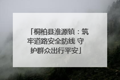 桐柏县淮源镇：筑牢道路安全防线 守护群众出行平安