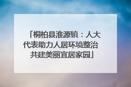 桐柏县淮源镇：人大代表助力人居环境整治 共建美丽宜居家园