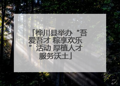桦川县举办“吾爱吾才 粽享欢乐”活动 厚植人才服务沃土
