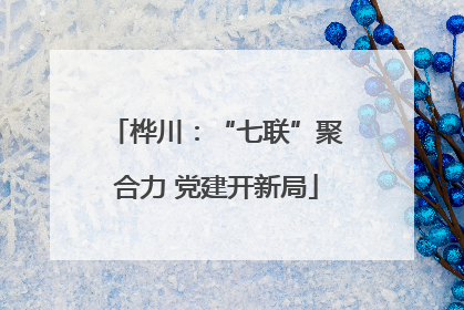 桦川：“七联”聚合力 党建开新局