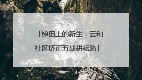 梯田上的新生：云和社区矫正五载耕耘路