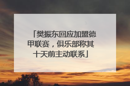 樊振东回应加盟德甲联赛，俱乐部称其十天前主动联系