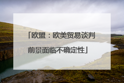 欧盟：欧美贸易谈判前景面临不确定性