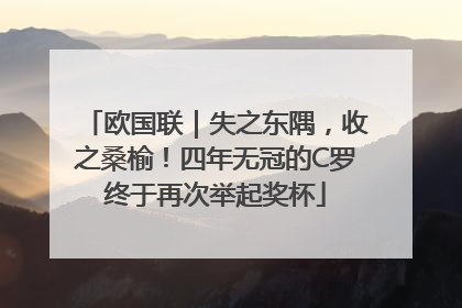 欧国联｜失之东隅，收之桑榆！四年无冠的C罗终于再次举起奖杯