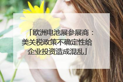欧洲电池展参展商：美关税政策不确定性给企业投资造成混乱