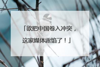 欲把中国卷入冲突，这家媒体露馅了！