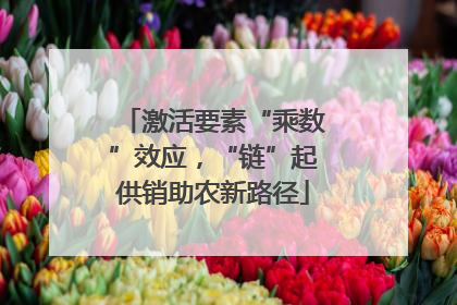 激活要素“乘数”效应，“链”起供销助农新路径