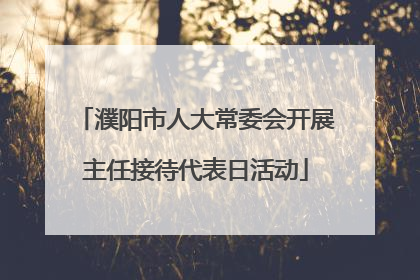 濮阳市人大常委会开展主任接待代表日活动