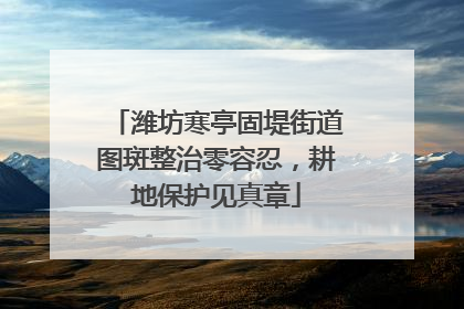 潍坊寒亭固堤街道图斑整治零容忍，耕地保护见真章