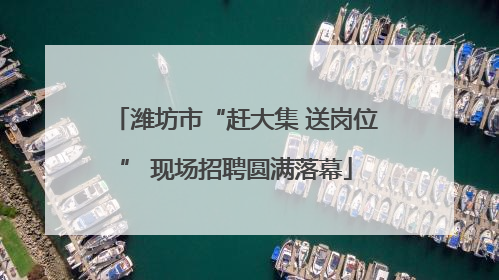 潍坊市“赶大集 送岗位” 现场招聘圆满落幕