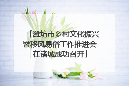 潍坊市乡村文化振兴暨移风易俗工作推进会在诸城成功召开