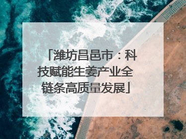 潍坊昌邑市：科技赋能生姜产业全链条高质量发展