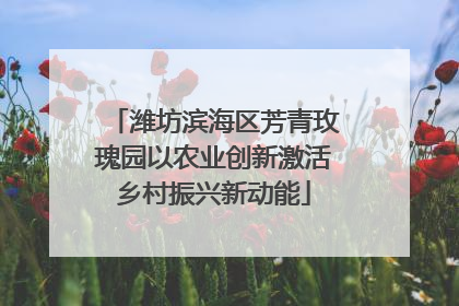 潍坊滨海区芳青玫瑰园以农业创新激活乡村振兴新动能