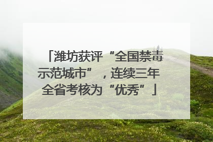 潍坊获评“全国禁毒示范城市”，连续三年全省考核为“优秀”