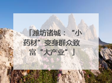 潍坊诸城：“小药材”变身群众致富“大产业”