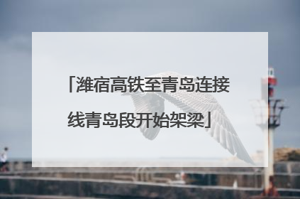 潍宿高铁至青岛连接线青岛段开始架梁