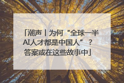 潮声丨为何“全球一半AI人才都是中国人”？答案或在这些故事中