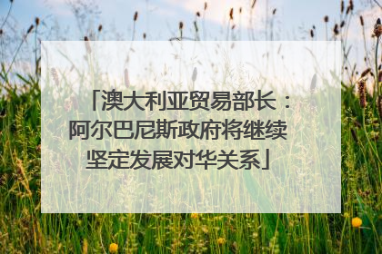 澳大利亚贸易部长：阿尔巴尼斯政府将继续坚定发展对华关系