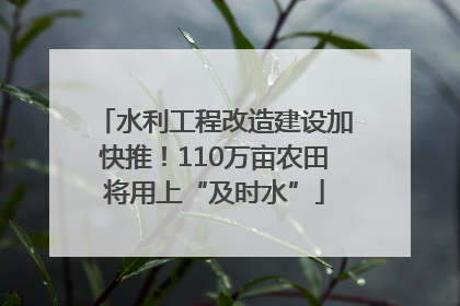 水利工程改造建设加快推！110万亩农田将用上“及时水”