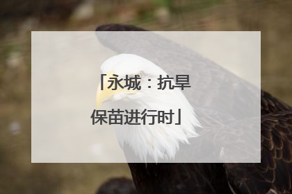 永城：抗旱保苗进行时