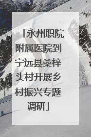 永州职院附属医院到宁远县桑梓头村开展乡村振兴专题调研