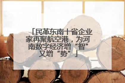 民革东南十省企业家再聚航空港，为河南数字经济增“智”又增“势”