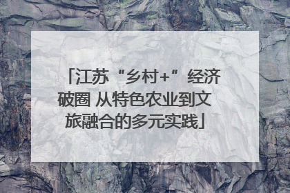 江苏“乡村+”经济破圈 从特色农业到文旅融合的多元实践