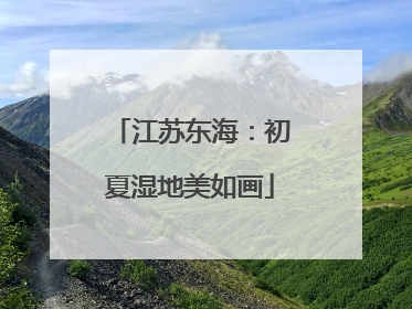 江苏东海：初夏湿地美如画