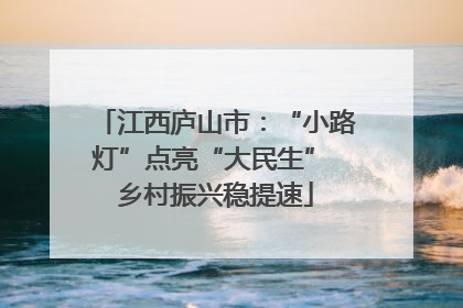 江西庐山市：“小路灯”点亮“大民生” 乡村振兴稳提速