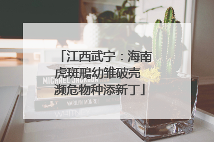 江西武宁：海南虎斑鳽幼雏破壳 濒危物种添新丁