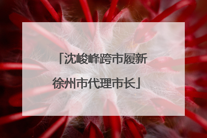 沈峻峰跨市履新徐州市代理市长