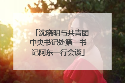 沈晓明与共青团中央书记处第一书记阿东一行会谈