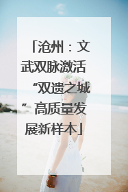 沧州：文武双脉激活“双遗之城”高质量发展新样本
