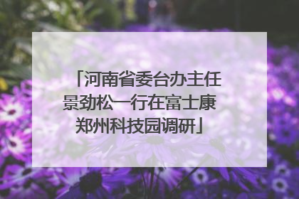 河南省委台办主任景劲松一行在富士康郑州科技园调研