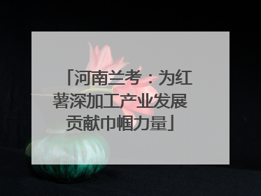 河南兰考：为红薯深加工产业发展贡献巾帼力量