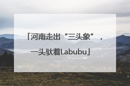 河南走出“三头象”，一头驮着Labubu