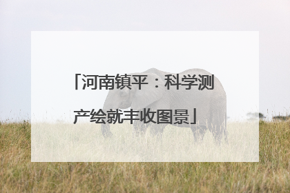 河南镇平：科学测产绘就丰收图景