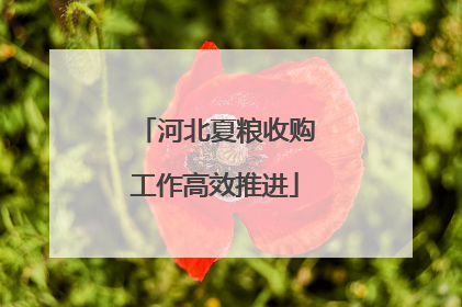 河北夏粮收购工作高效推进