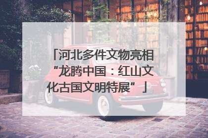 河北多件文物亮相“龙腾中国：红山文化古国文明特展”
