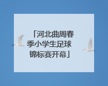 河北曲周春季小学生足球锦标赛开幕