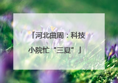河北曲周：科技小院忙“三夏”