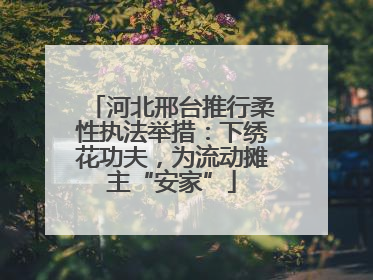 河北邢台推行柔性执法举措：下绣花功夫，为流动摊主“安家”