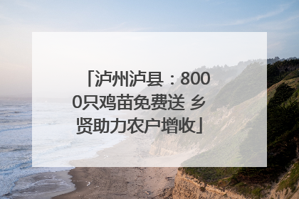 泸州泸县：8000只鸡苗免费送 乡贤助力农户增收