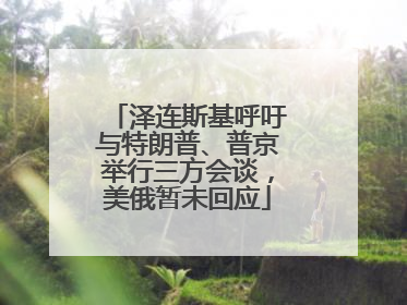 泽连斯基呼吁与特朗普、普京举行三方会谈，美俄暂未回应
