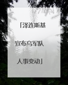 泽连斯基宣布乌军队人事变动